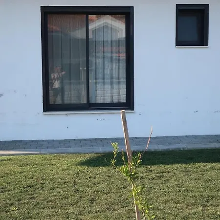 Bed and Breakfast Lemon Garden
