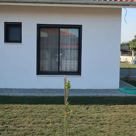 Lemon Garden Bed and Breakfast